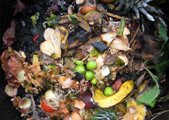 Hướng dẫn ủ phân hữu cơ bằng rác thải