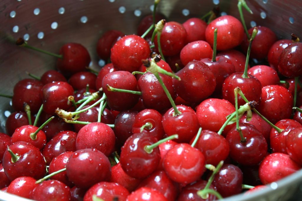 Quả cherry Chi lê bao nhiêu tiền 1kg