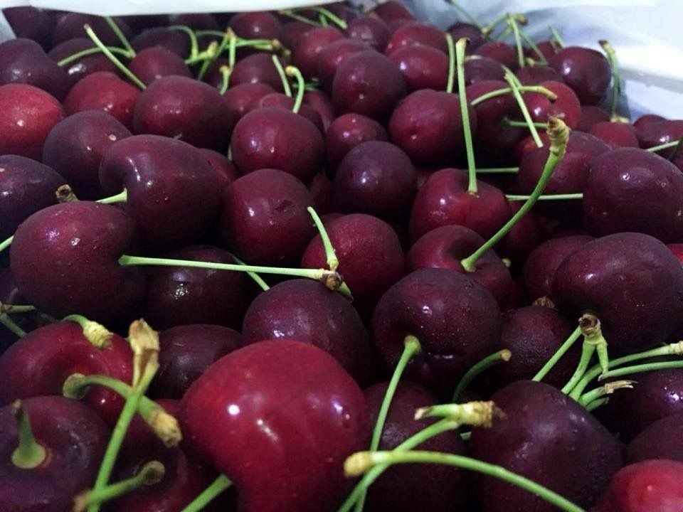 Trái cherry bán ở đâu