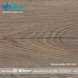  Sàn nhựa vân gỗ thông PW1503 (hàng có sẵn) 