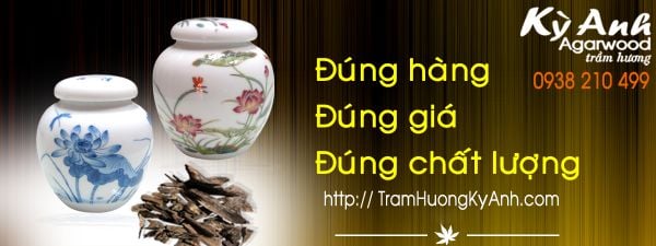 Trầm hương tự nhiên - Trầm hương vườn trồng