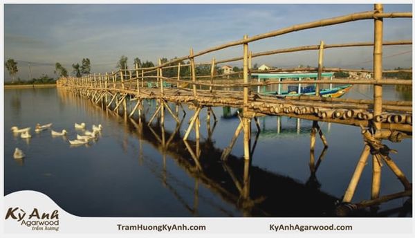 Nhạc Thiền Phật Giáo 67 - Chiếc Cầu Quê Hương