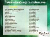 Trầm hương - Công dụng dùng trầm hương dùng để xông và thờ cúng