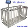 Cân động vật sống, cân lợn, cân heo