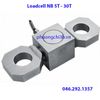 Loadcell kiểm tra tải trọng cẩu trục NB