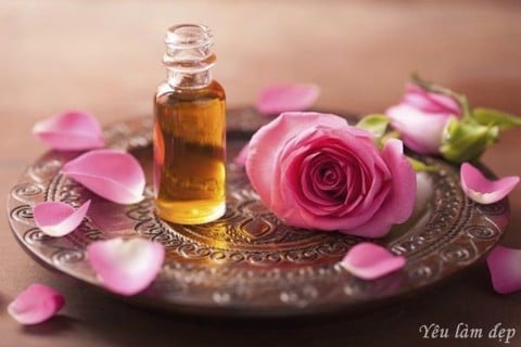 Tinh dầu Hoa Hồng (Rose oil)