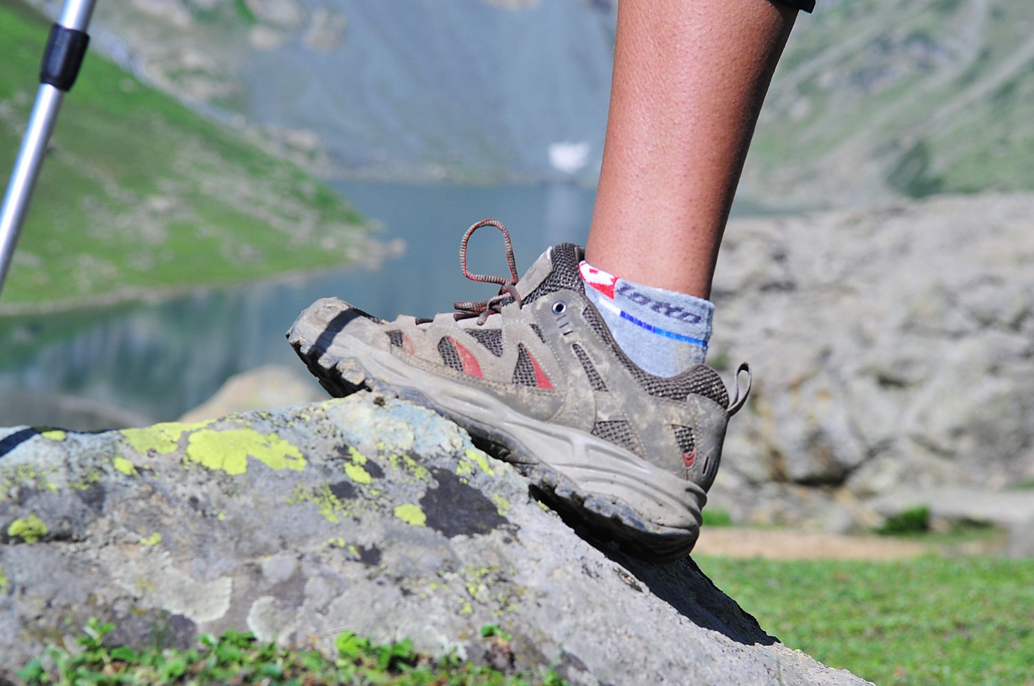 https://hstatic.net/600/1000034600/10/2015/8-26/trekking-shoes.jpg