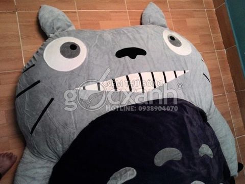 Nem Totoro mat sole