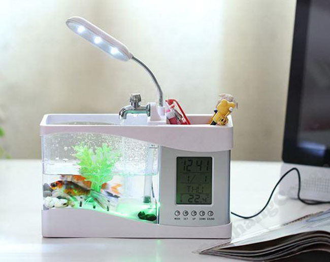 bể cá mini phong thủy cho bàn làm việc