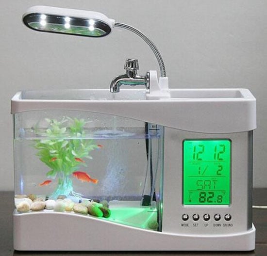 bể cá mini phong thủy cho bàn làm việc