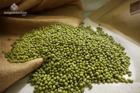 [ CẦN BÁN ] Cung cấp 20 Tấn đậu xanh - đậu đen chất lượng