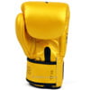 Găng Tay Fairtex Bgv1 Falcon Limited Edition Boxing Gloves