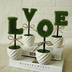 Bộ chậu cây love