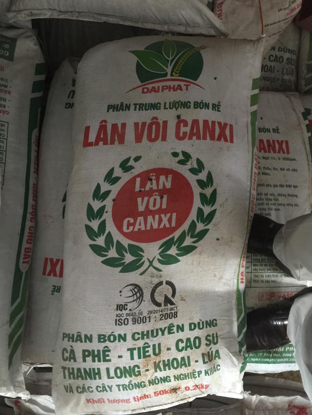 lan_voi_can_xi_1.jpg