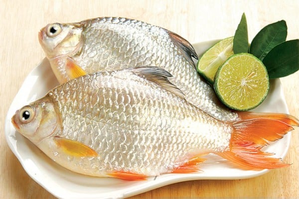 an-ca-song-lau-hon
