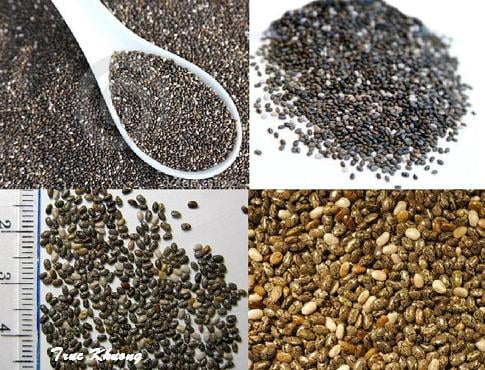 nguon-goc-hat-chia