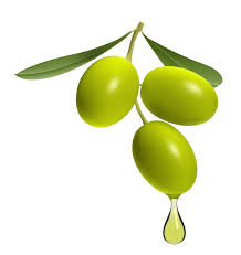 tinh dau olive