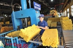 Brand name “Vietnamese Rubber” reach out international market