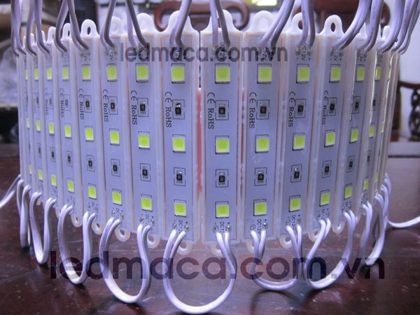 led hắt 3 bóng siêu sáng, led cụm 3 bóng chất lượng tốt, cum led 3 bong