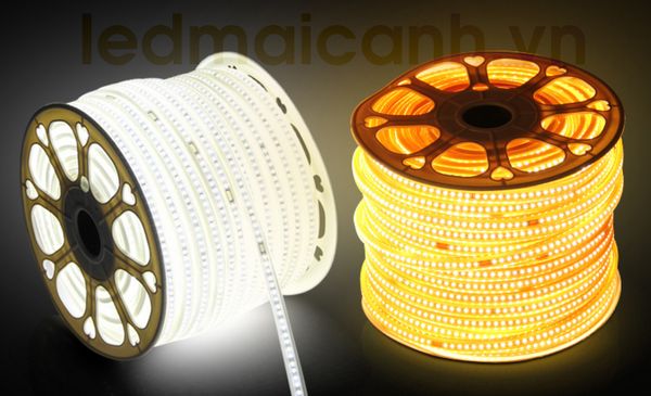 led day hat tran thach cao, led day 220v, led day 100m