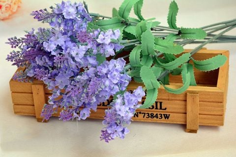 Hoa lavender vải