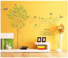 Decal cây xanh mười khung hình