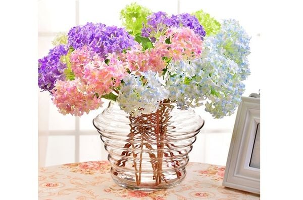 Bình thủy tinh xoắn ốc