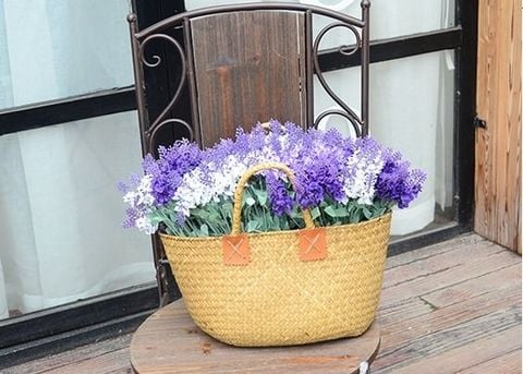 hoa-lavender-gia-re-tphcm