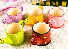 Bình tưới cắm hoa Zakka