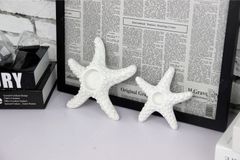 Chân nến sao biển