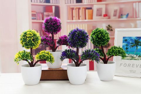 chau-cay-nhua-ba-nhanh