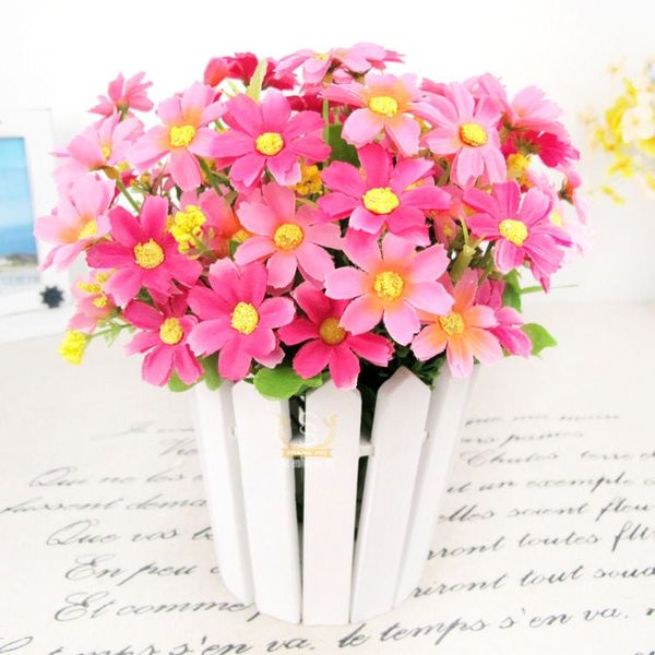 Chậu hàng rào tròn hoa sao nhái