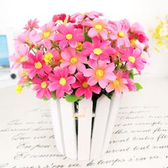 Chậu hàng rào tròn hoa sao nhái