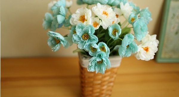 Hoa mi mi hàn quốc