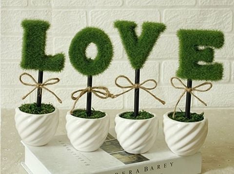 bo-chau-cay-love-gia-re