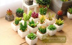 Chậu cây để bàn Zakka mini