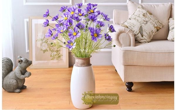 Hoa cúc daisy thân cao