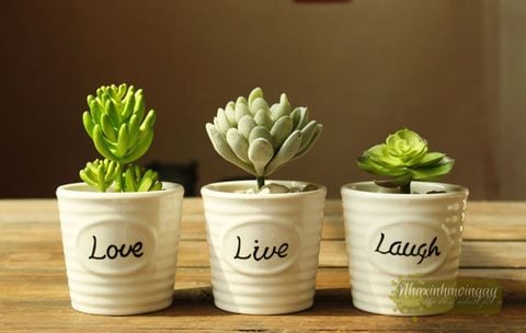 chau-su-live-love-laugh