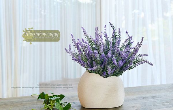 Hoa lavender tuyết
