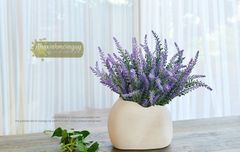 Hoa lavender tuyết
