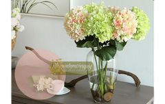 Hoa cẩm tú cầu thân cao