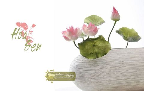 hoa-sen-nhat