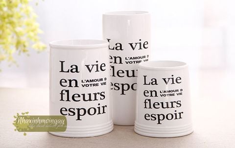 binh-su-cam-hoa-la-vie