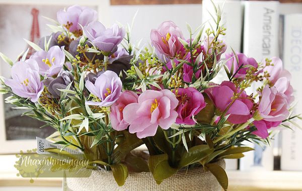 Hoa dại Hàn Quốc