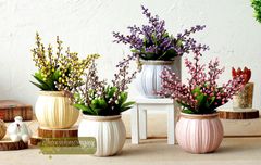 Chậu hoa bi nhỏ để bàn