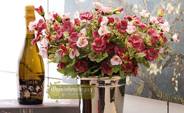 Hoa hồng bụi châu âu