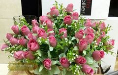 Hoa hồng nụ Châu Âu