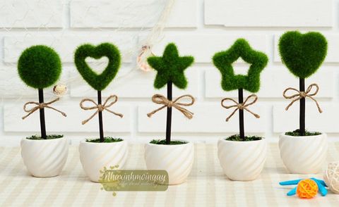 Chậu cỏ để bàn DIY