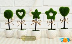 Chậu cỏ để bàn DIY