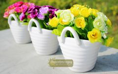 Chậu sứ giỏ sách hồng mini